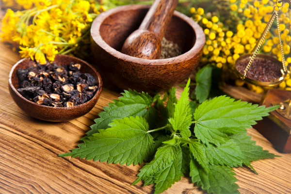 DIY: Bálsamos e Pomadas Terapêuticas Naturais para Dores Articulares