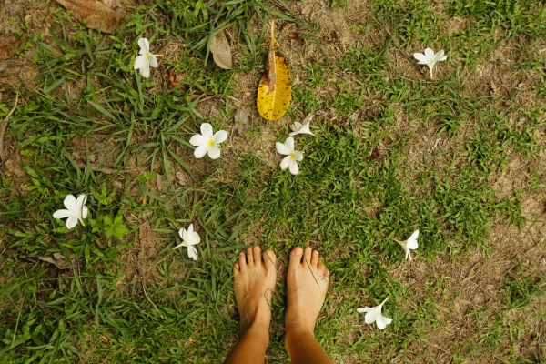 O Poder Curativo do Contato com a Terra: Introdução ao Grounding